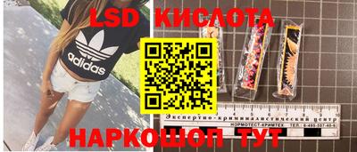 a pvp Моздок