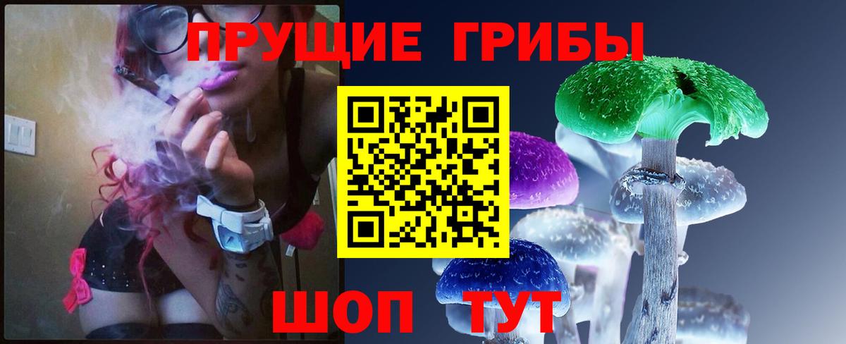 Галлюциногенные грибы GOLDEN TEACHER Хабаровск
